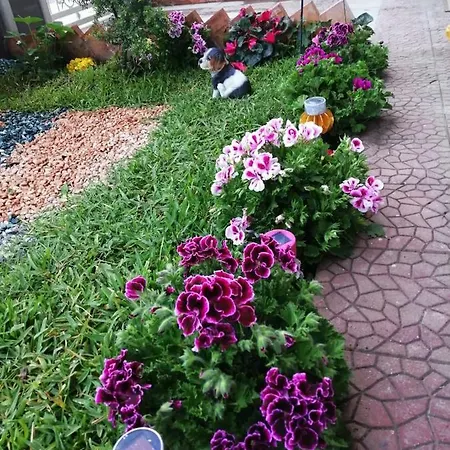 La Romantica Konukevi